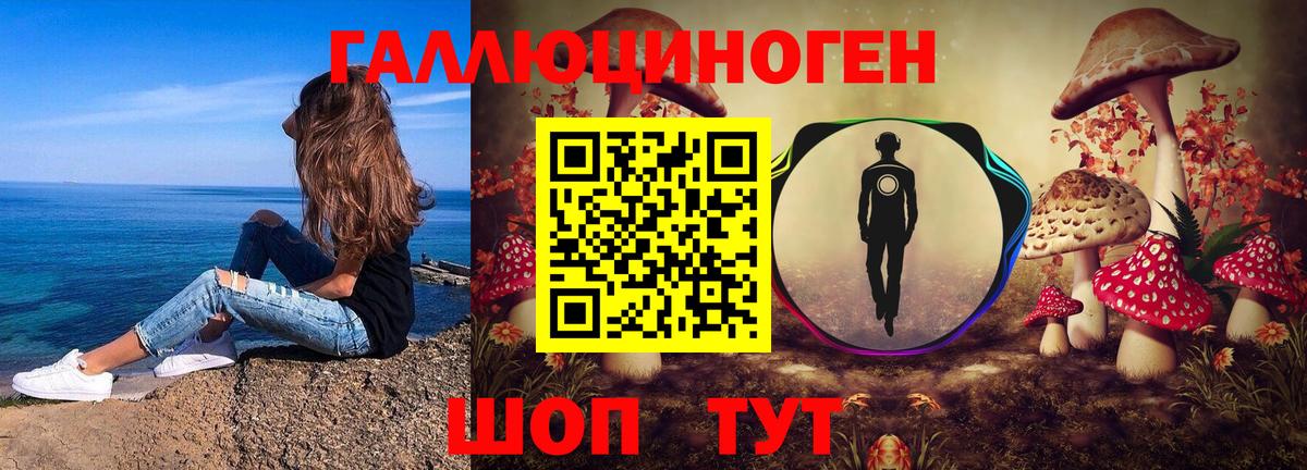 Сунжа  наркошоп  Вход с VPN  Галлюциногенные грибы Psilocybe  Псилоцибиновые грибы MAGIC MUSHROOMS 