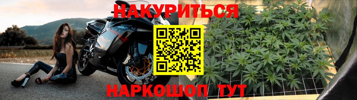 Сунжа  Бошки Шишки индика  Шишки марихуана конопля  Вход с VPN  Канабис план 
