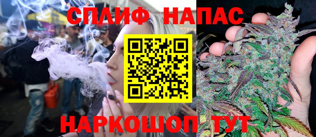 Марихуана гибрид Сунжа